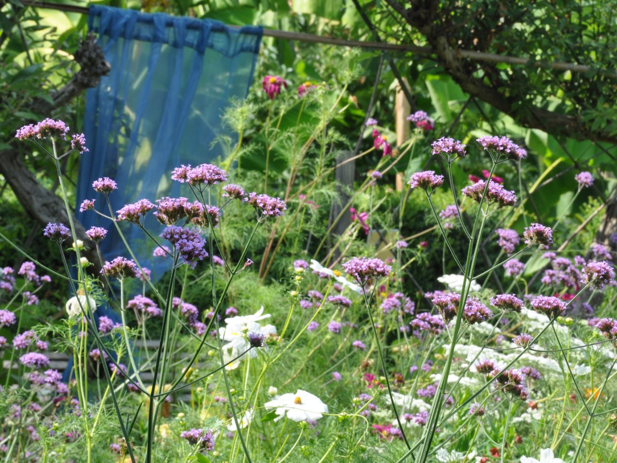 Savourer en &laquo;&nbsp;pleine présence&nbsp;&raquo; …